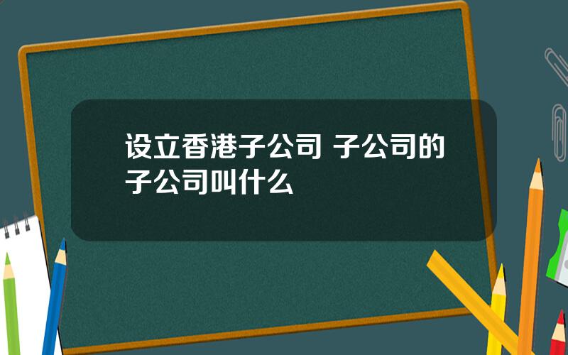 设立香港子公司 子公司的子公司叫什么